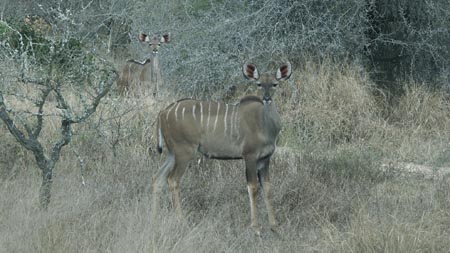 Africa 20050621 045