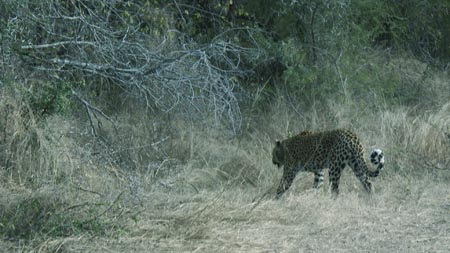 Africa 20050621 077