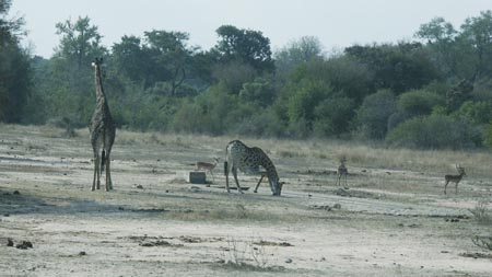 Africa 20050621 081