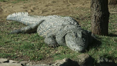 Africa 20050623 004