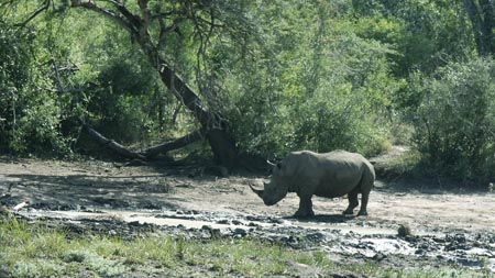 Africa 20050624 011