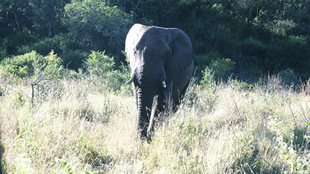 Africa 20050624 034