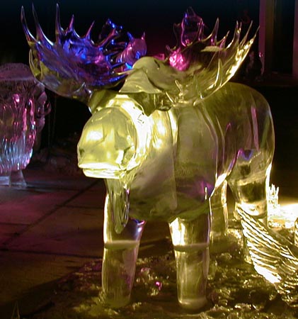 AK 2000 d168 Fairbanks ice museum - moose