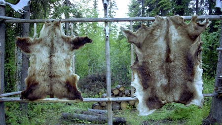 Alaska 2000 05 APS919-767 38h