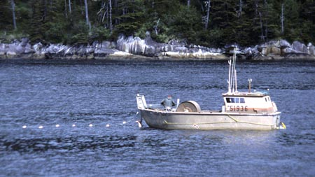 Alaska 2000 Slides1 16