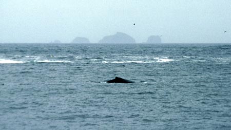 Alaska 2000 Slides1 31