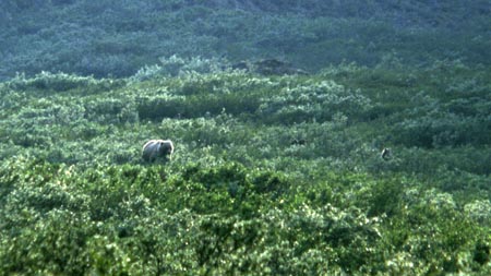 Alaska 2000 Slides6 36a