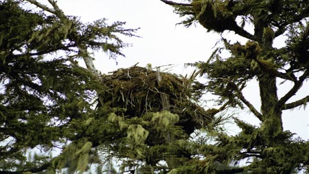 Alaska 2000 St02 06