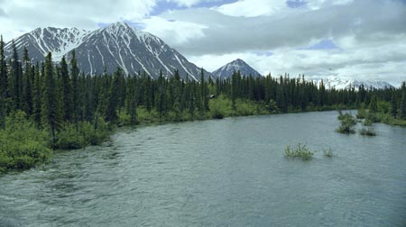 Alaska 2000 St06 11a