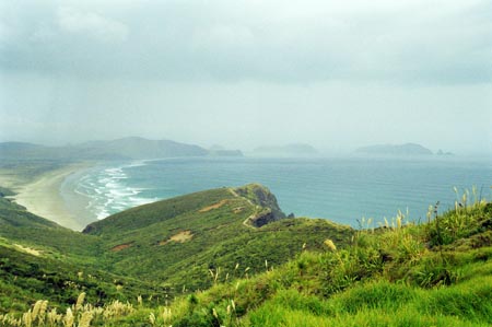 NZ Film 23 26