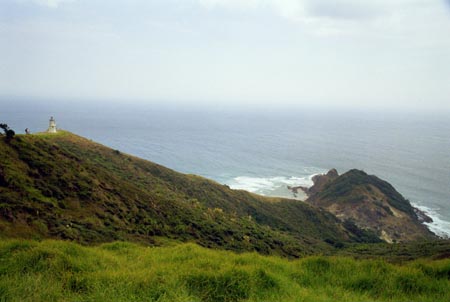 NZ Film 23 28