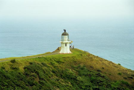 NZ Film 23 30r