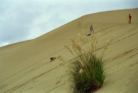 NZ Film 23 34