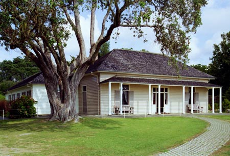 NZ Film 24 10