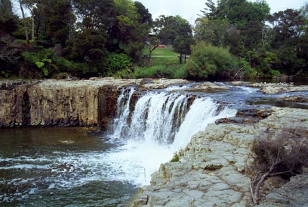 NZ Film 24 19r