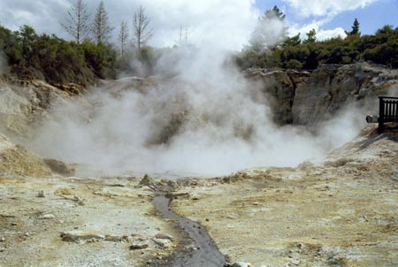 NZ Film 25 11