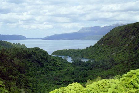 NZ Film 25 17