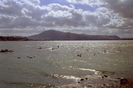 NZ Film 25 26