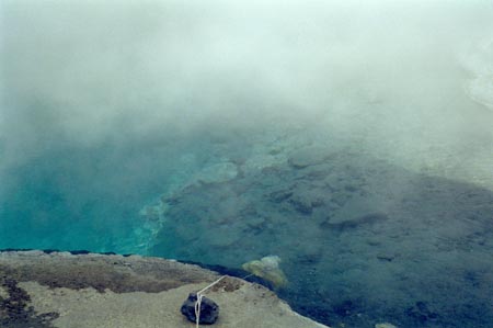 NZ Film 25 31