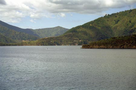 NZ Film 27 30