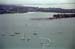 NZ Film 23 15