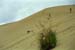 NZ Film 23 34