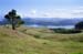 NZ Film 24 30
