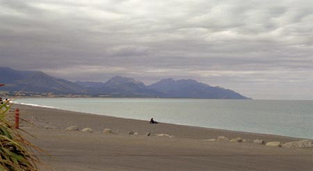 APS NZ4 743-862 11r