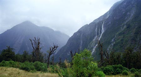 APS NZ6 695-547 10p