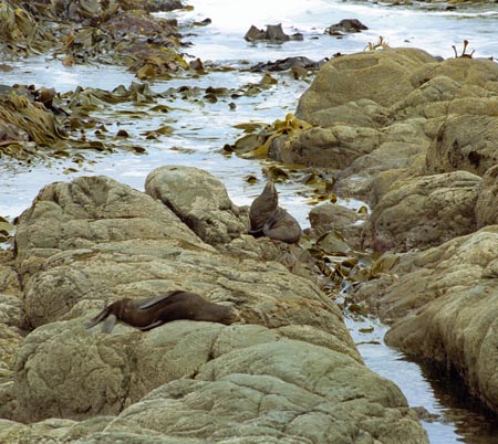 NZ Film 28 01