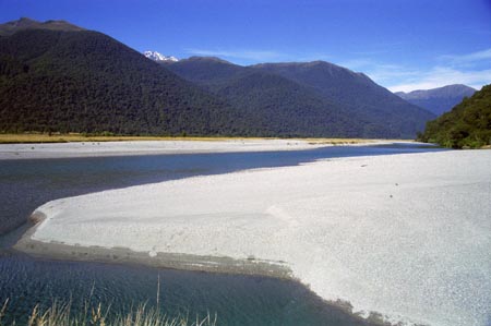 NZ Film 33 07
