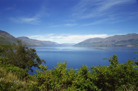 NZ Film 33 20