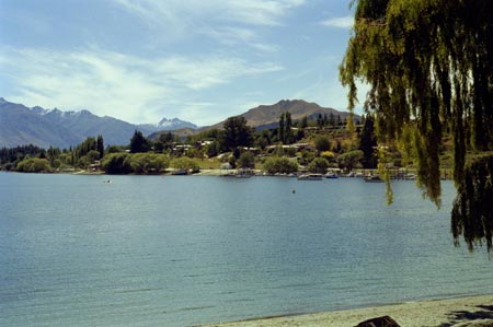 NZ Film 33 28