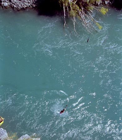 NZ Film 36 10