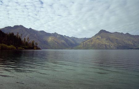 NZ Film 36 13