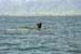 NZ Film 28 23