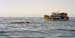 NZ Film 29 01