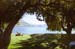 NZ Film 33 27
