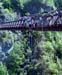 NZ Film 36 06