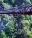 NZ Film 36 07